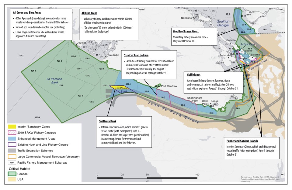 whale map