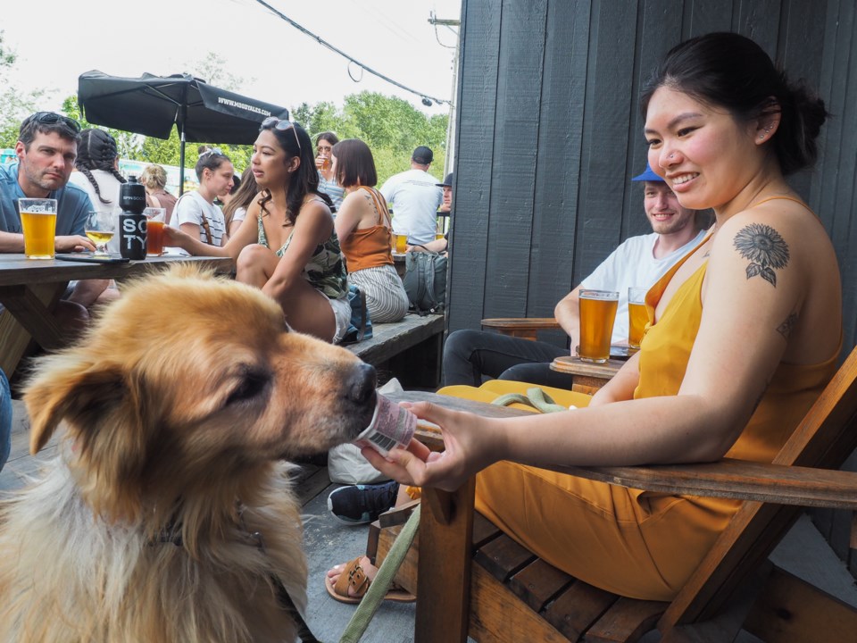 Surrey resident Vicki Hsieh saw the event posted on Facebook brought her seven-year-old Golden Retri