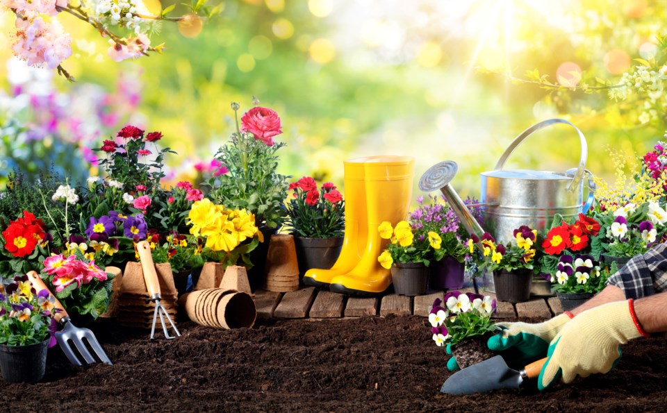 Gardening-RomoloTavani-iStock