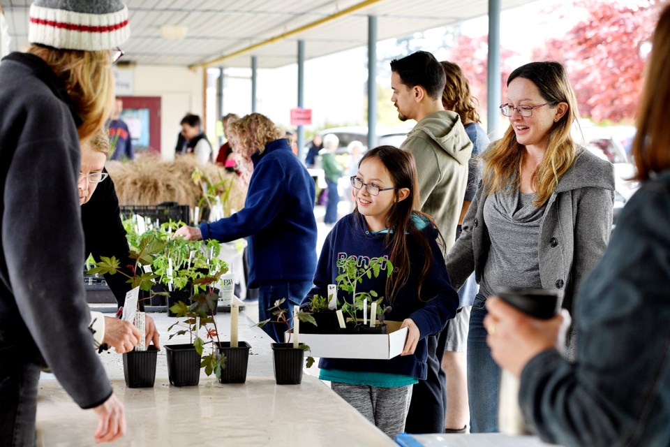 The New Westminster Horticultural Society sold out of plants at its annual plant sale, which moved to a new location at New Westminster Secondary School this year.