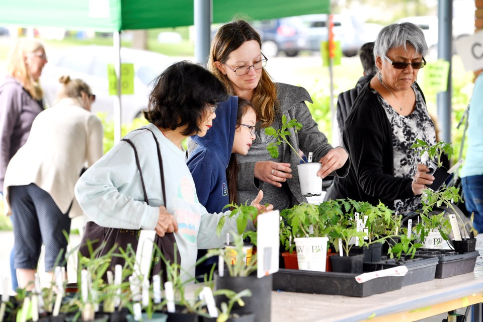 The New Westminster Horticultural Society sold out of plants at its annual plant sale, which moved to a new location at New Westminster Secondary School this year.