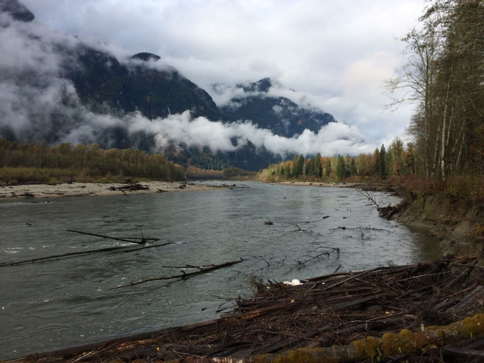 Squamish Valley river
