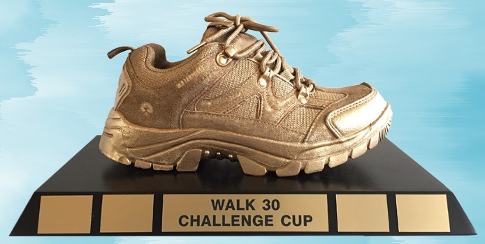 Walk30 Golden Shoe
