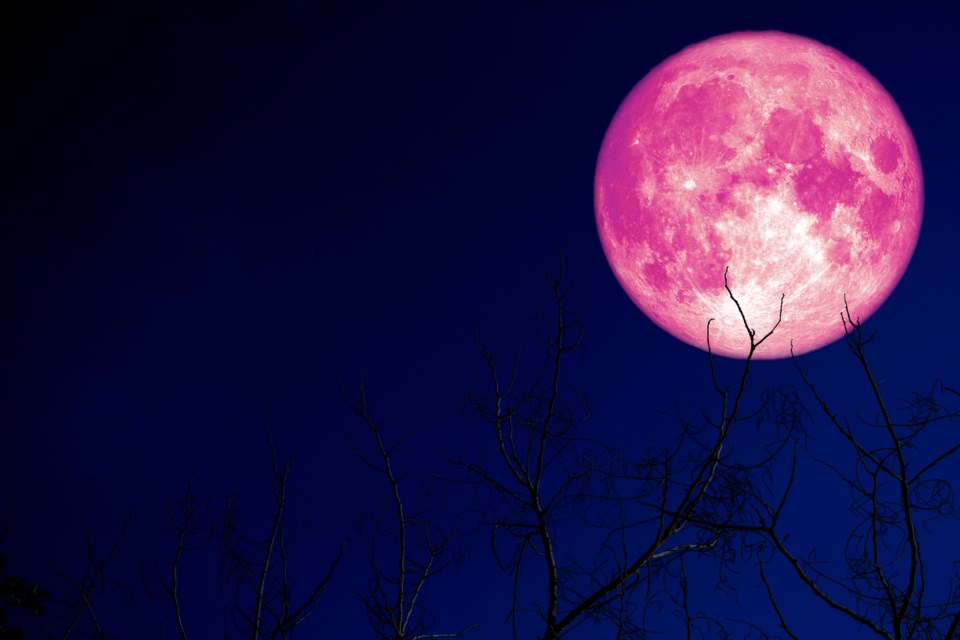 Strawberry moon