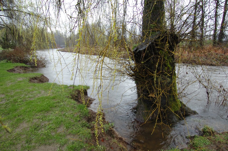 Brunette River