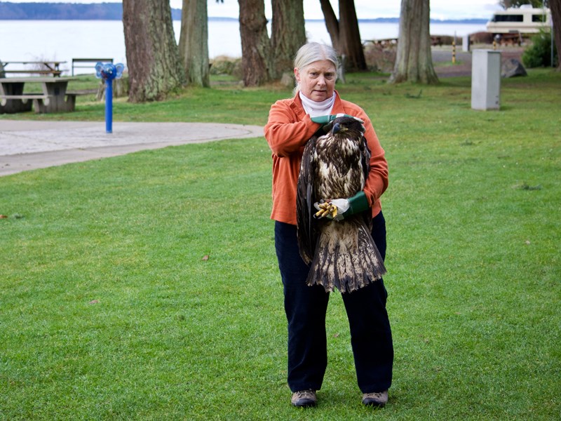 Powell River Orphaned Wildlife Society president Merrilee Prior