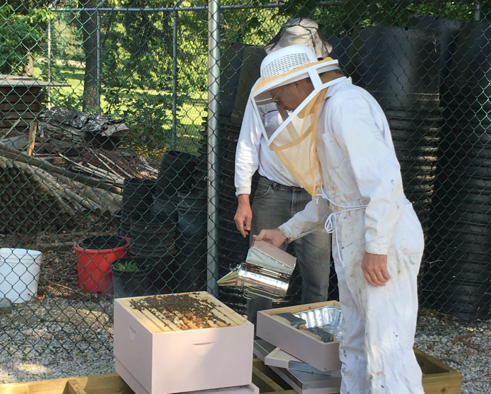 beekeepers bee keepers