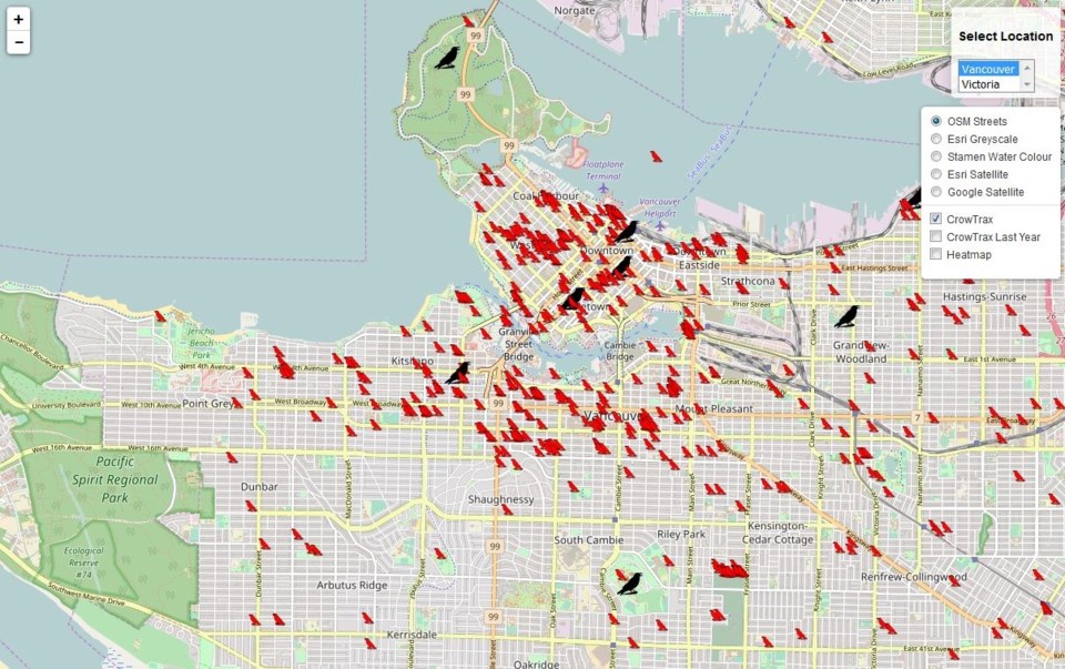 Densely populated areas such as downtown and the West End are hotspots for crow attacks. Screen grab