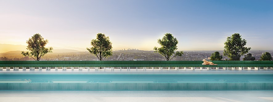 Clemande x Oakridge Amenity Pool Eye Level