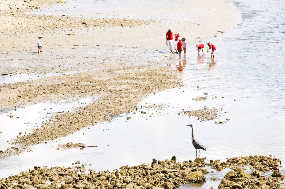 Intertidal