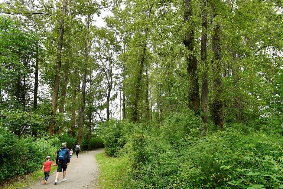 fraser foreshore trees