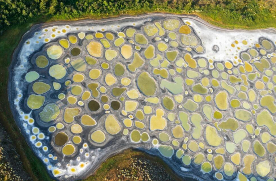 Spotted Lake