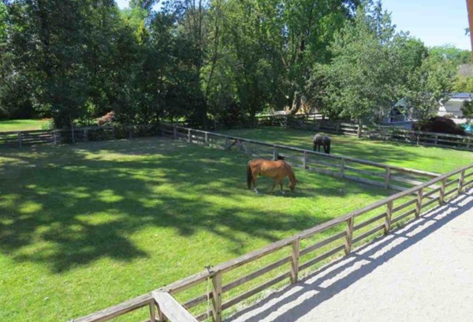 Southlands $16-8M ranch home paddocks
