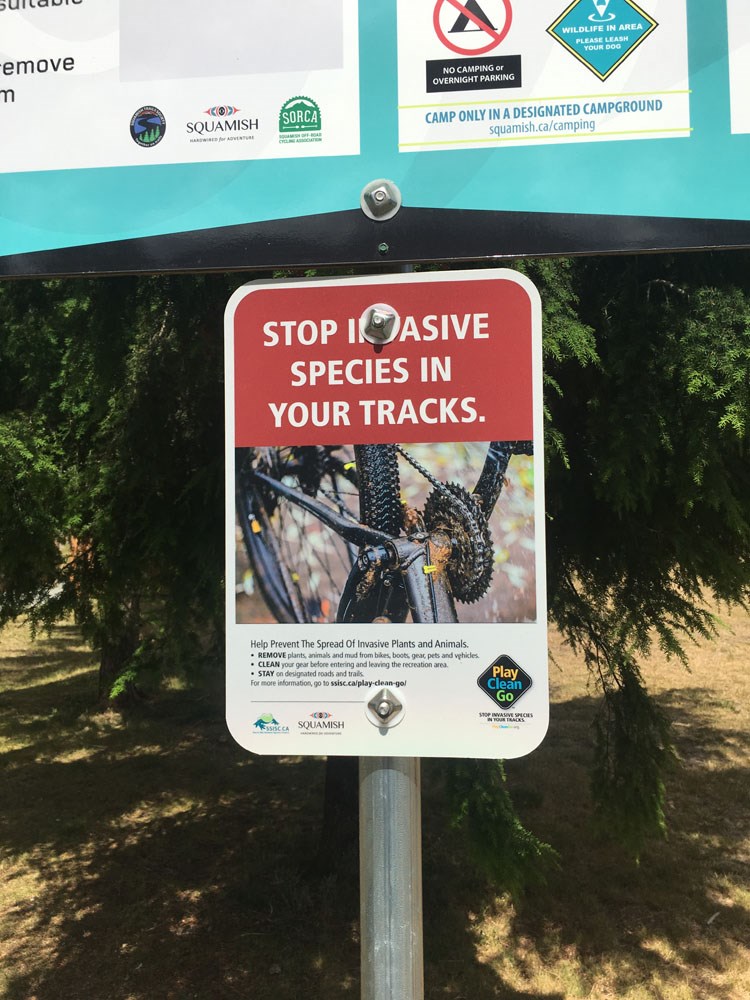 Invasive Signs
