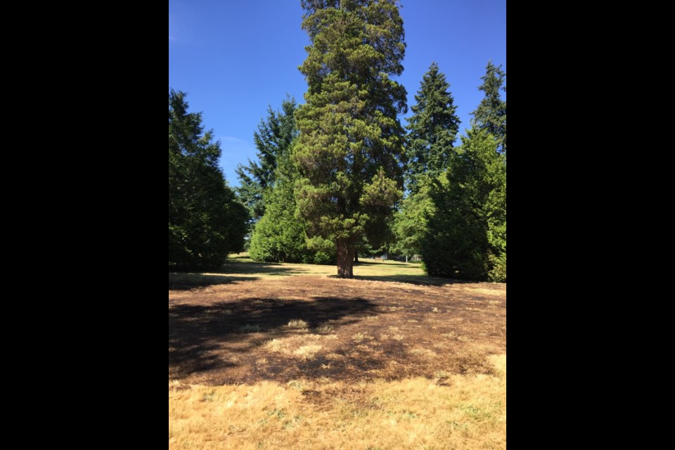 Flames reaching a foot tall were seen by witnesses to a grass fire in Moody Park on Sunday afternoon. City and fire crews prevented the fire from spreading to nearby trees.