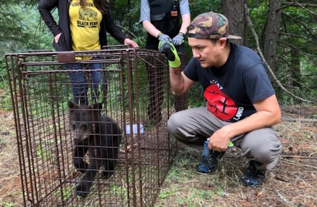 Bear cub CPR