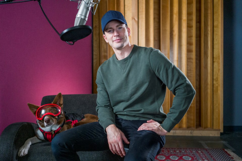 Chris Evans provides the voice of Henry in Superpower Dogs. Photo Reed Smoot, ASC for Cosmic Picture