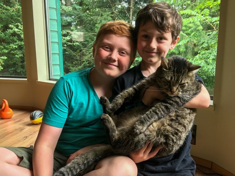 Cat rescue
