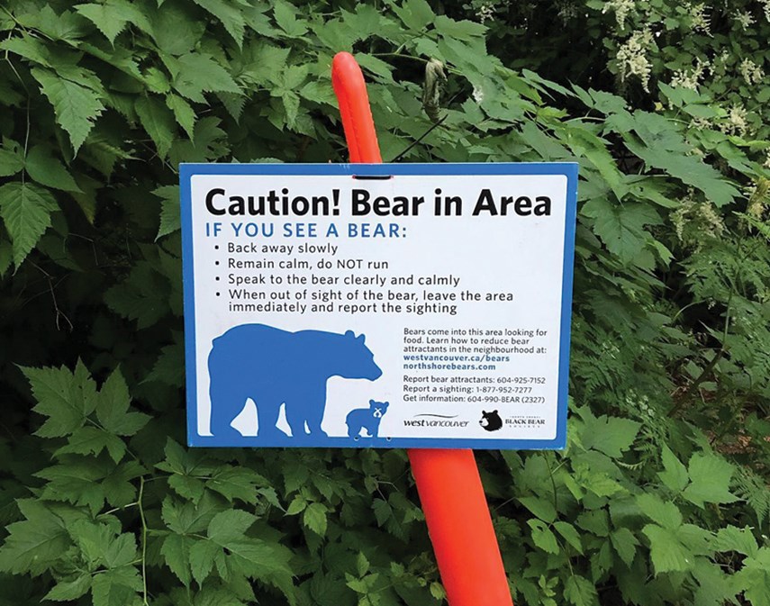 black bear warning sign