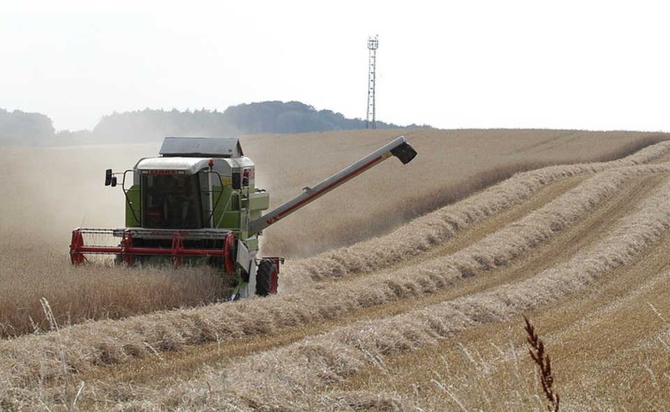farming