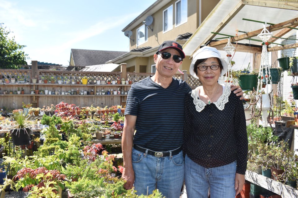 Johnny Tai and his wife Sonia say the public are welcome to visit their garden.