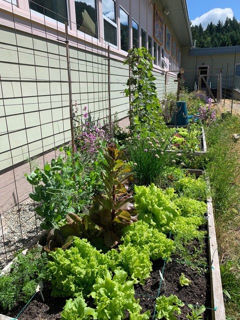 madeira garden