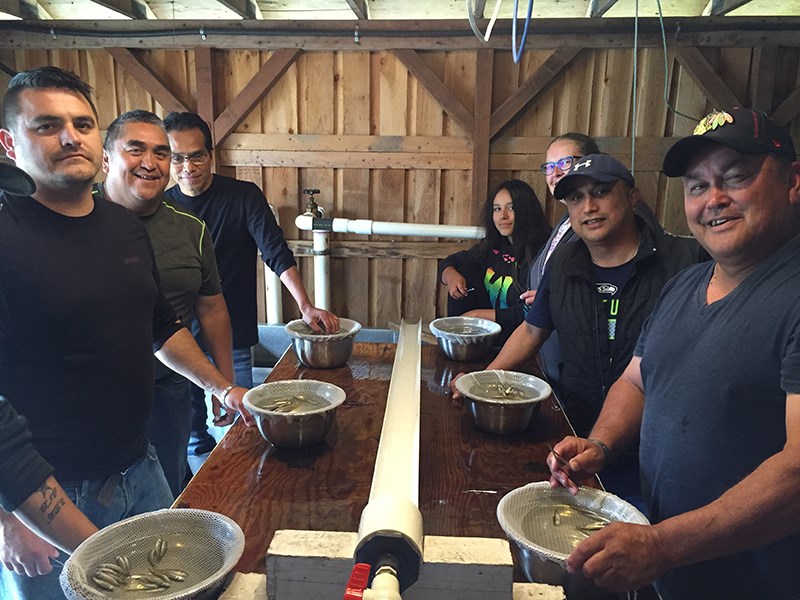 Tla’amin Salmon Hatchery