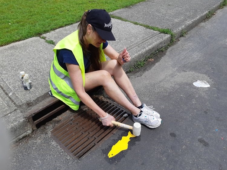 Storm drain marking