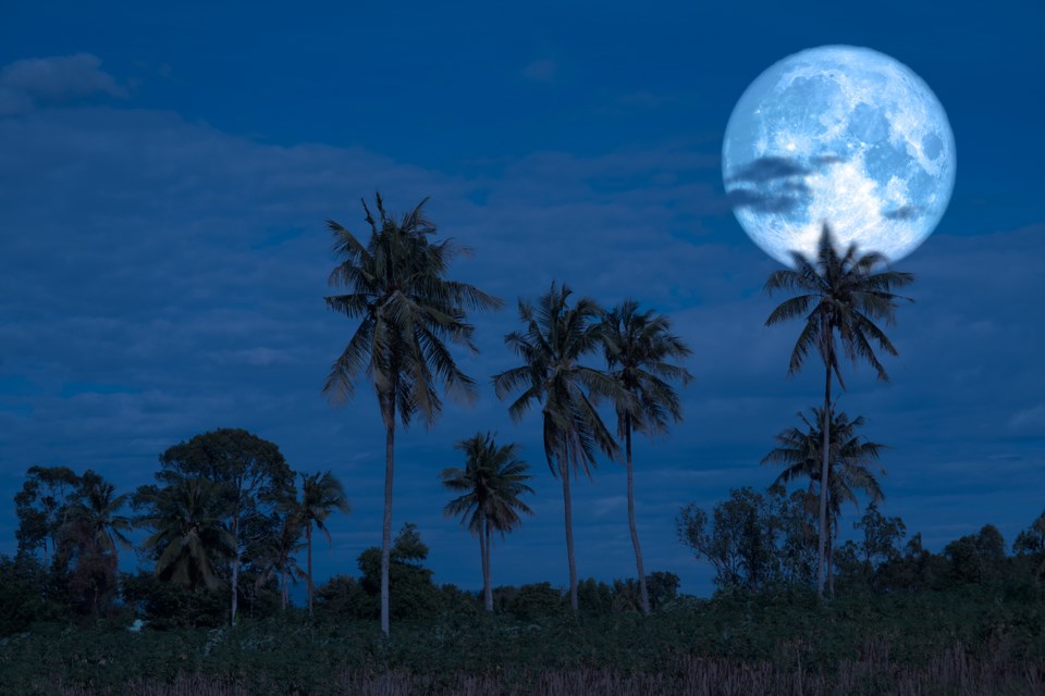 full sturgeon moon