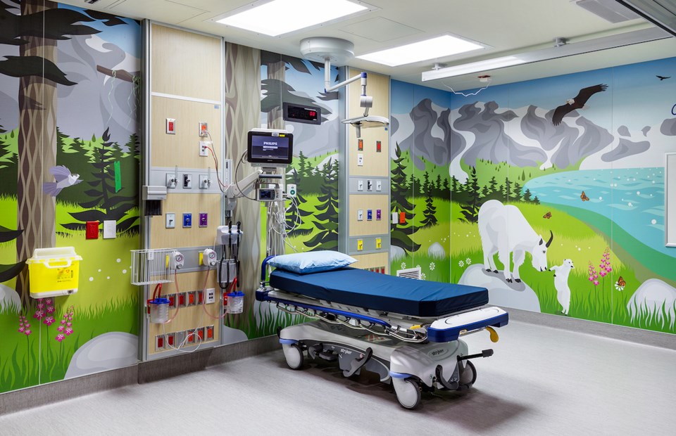 Bowen artist donates mural to BC Children's Hospital's Sunny Hill Health Centre_1