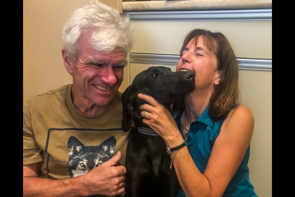 Garry Mancell and his wife, Anne, with Maisie, their Labrador-coonhound cross, which went missing July 3 after fleeing following a car accident on the Upper Levels Highway in West Vancouver. She was found 21 days later in a West Vancouver District works yard on Cypress Bowl Road.