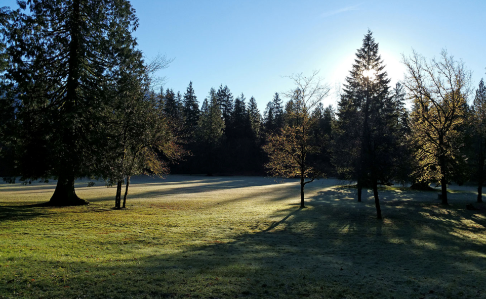 Widgeon Marsh mid-meadow