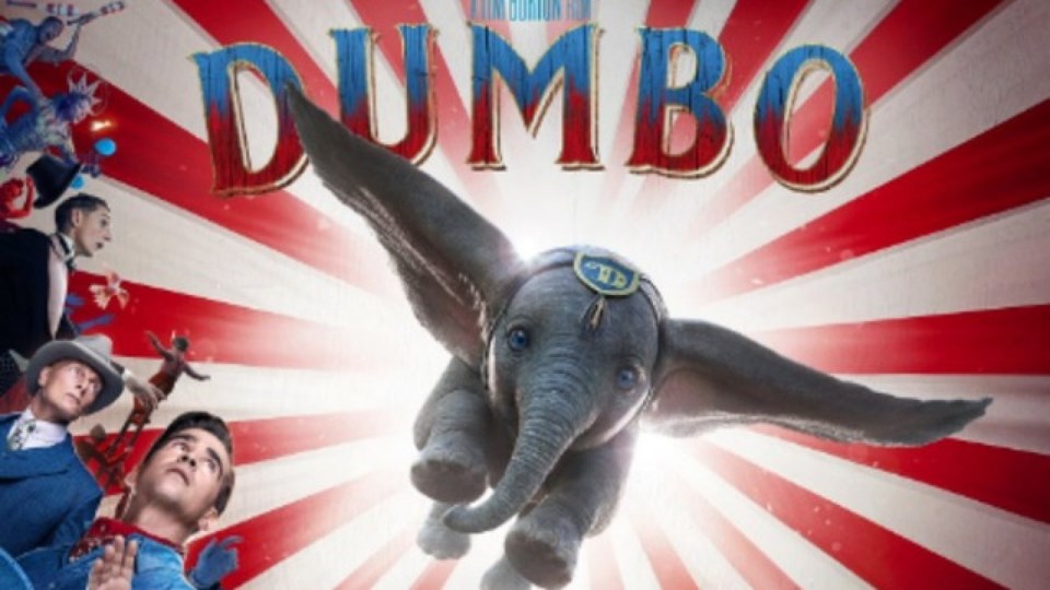 dumbo