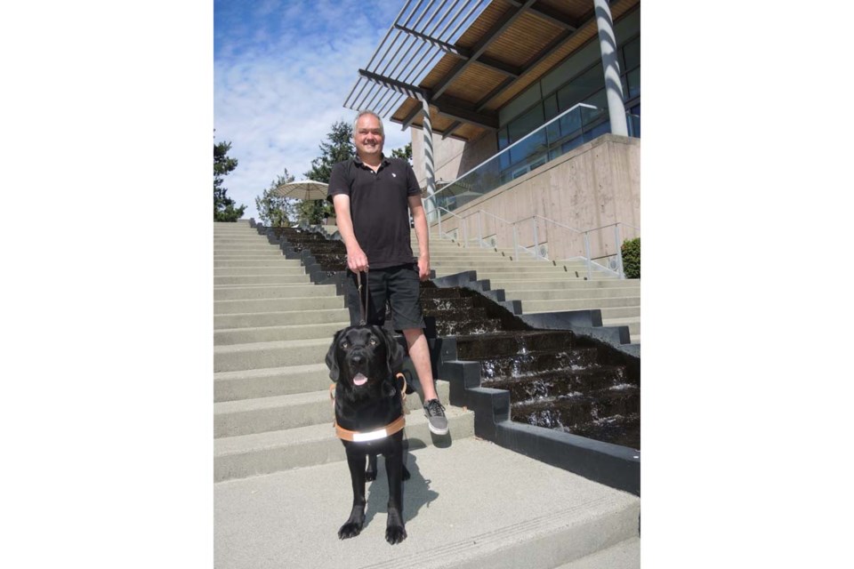 guide dogs