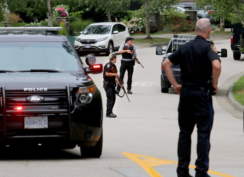 Conservation officers hunt a mother black bear and her two cubs after tranquilizing a third from a t