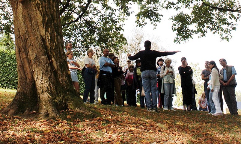 treefest