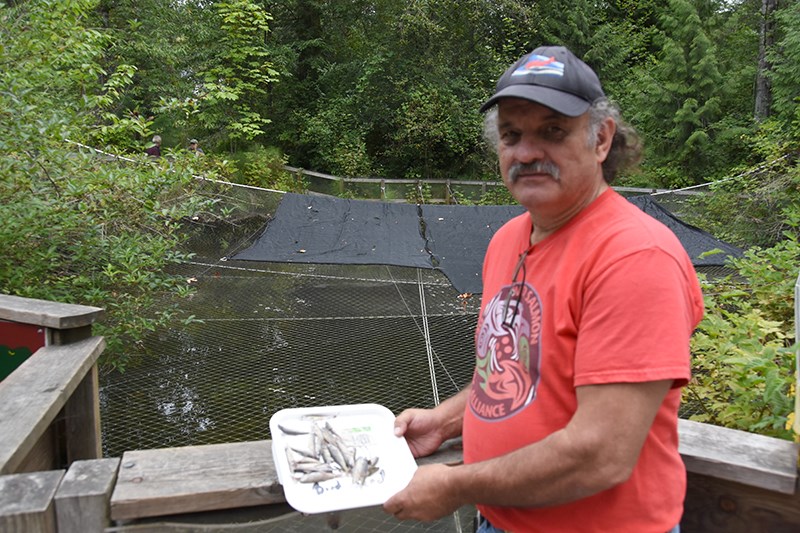Bennie coho
