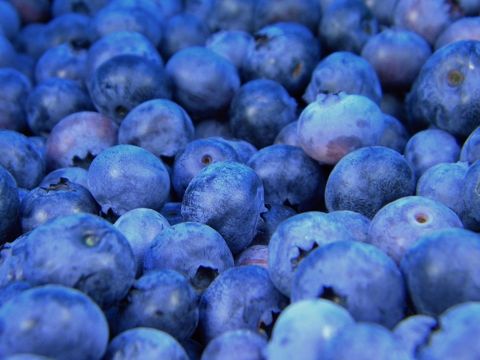 blueberries