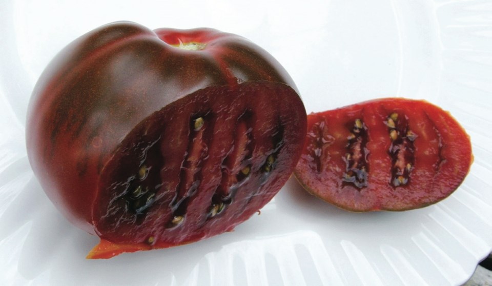 E5_0817-chesnut tomato.jpg