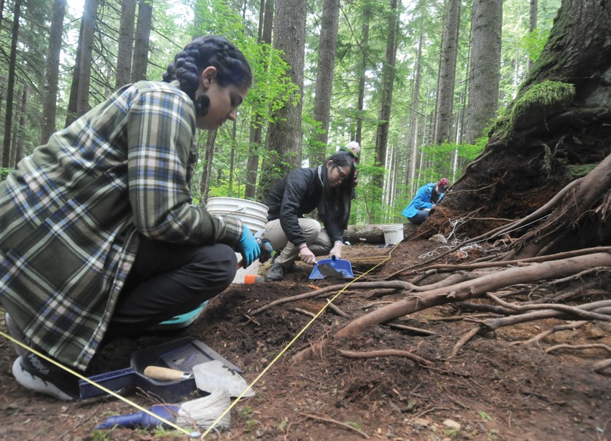 japanese logging site