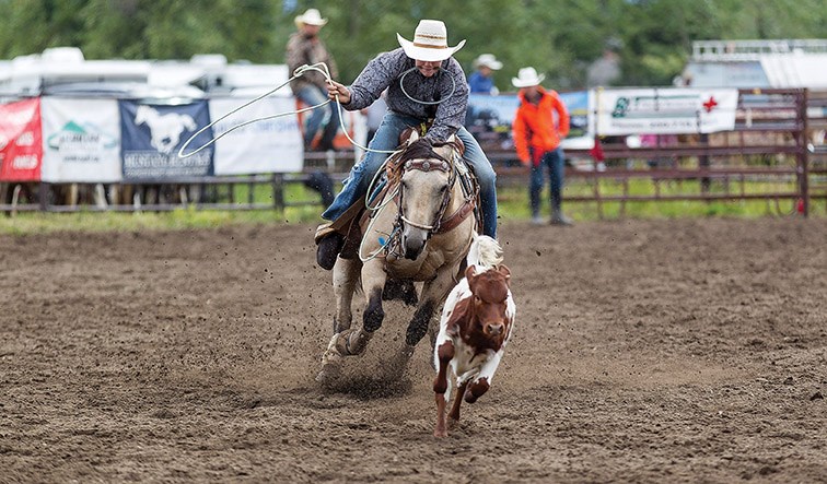 A rider chases down a calf on Saturday afternoon at the Exhibition Park rodeo grounds while participating in the senior tiedown roping competition of the High School Rodeos of B.C. Prince George Rodeo. Citizen Photo by James Doyle