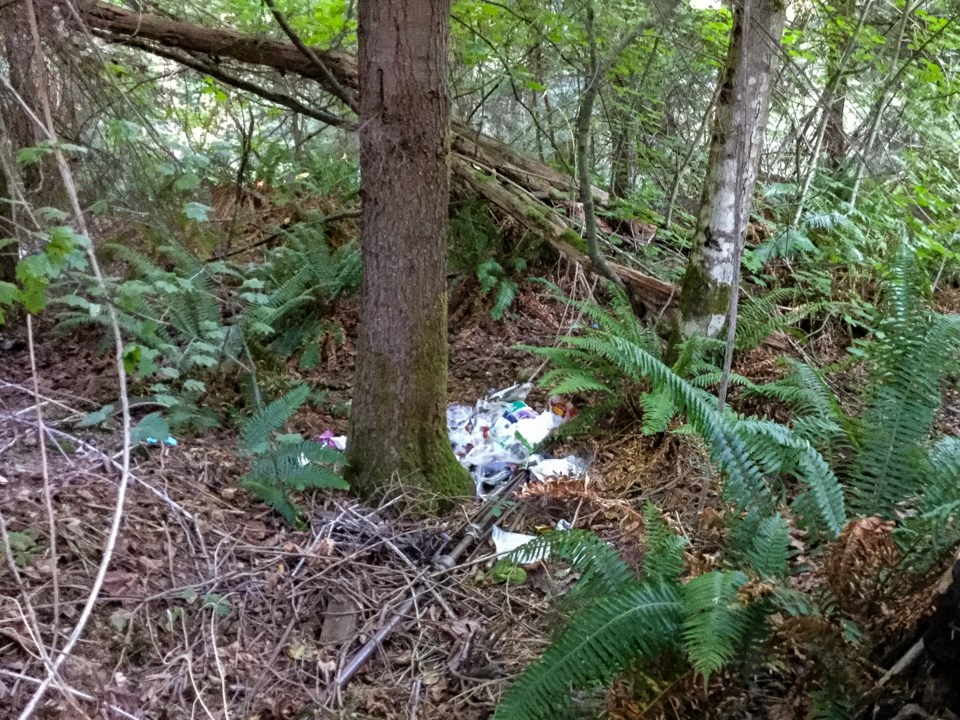 Plastic trash along Hoy Creek Trail