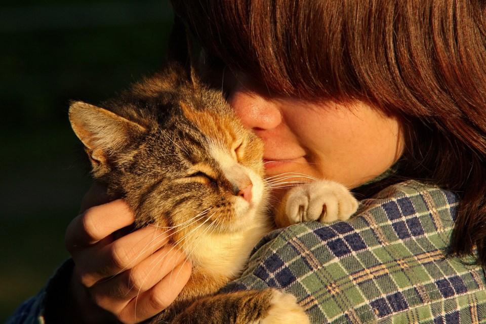 cat and person