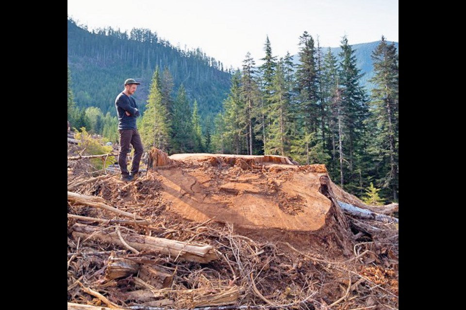 Ancient Forest Alliance campaigner TJ Watt next to Canada's 9th-widest Douglas-fir tree after it was logged.