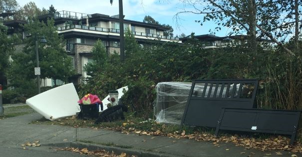 Man visiting Burnaby urges ‘naming and shaming’ of ‘disgraceful’ dumpers_2