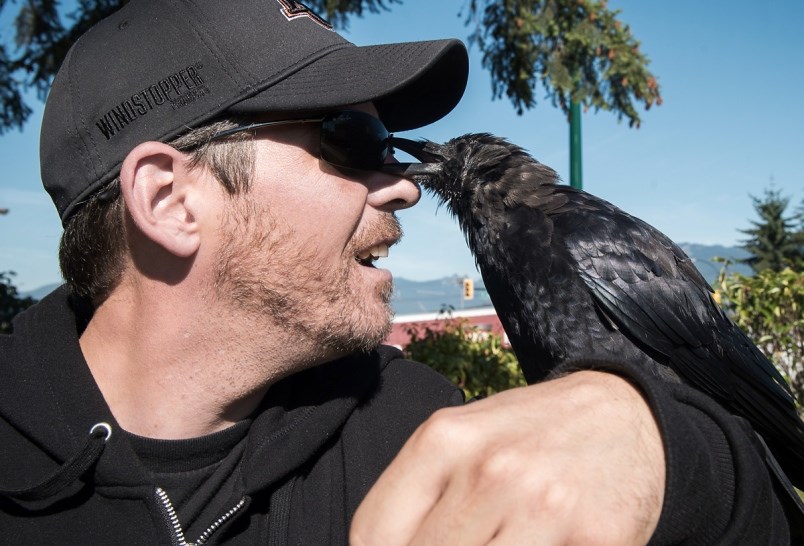 Canuck the crow and his human friend, Shawn Bergman. File photo Rebecca Blissett