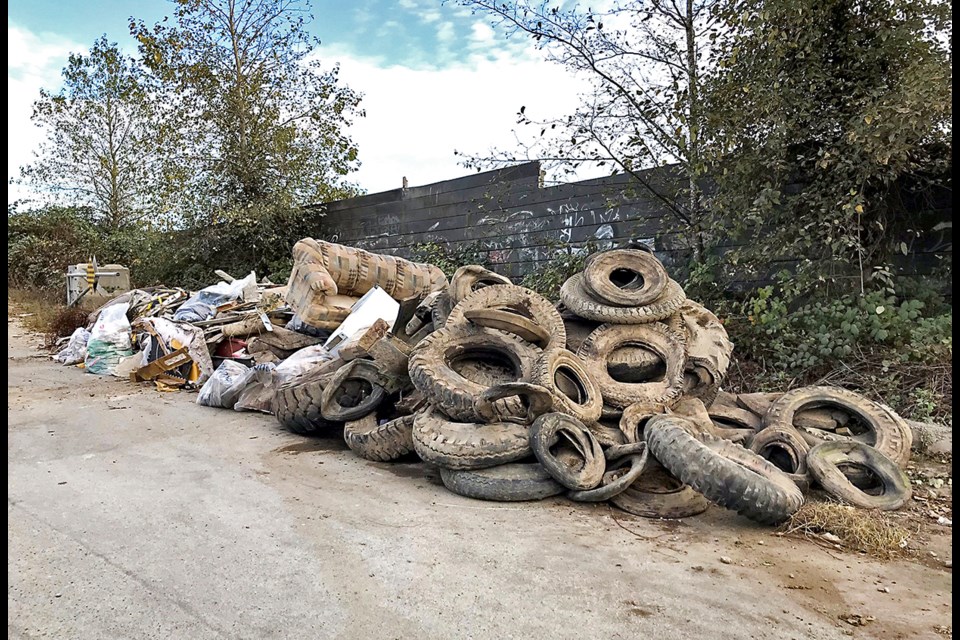 Some of the illegally-dumped waste that David Clarke and volunteers collected during a recent clean-up at Triangle Beach.