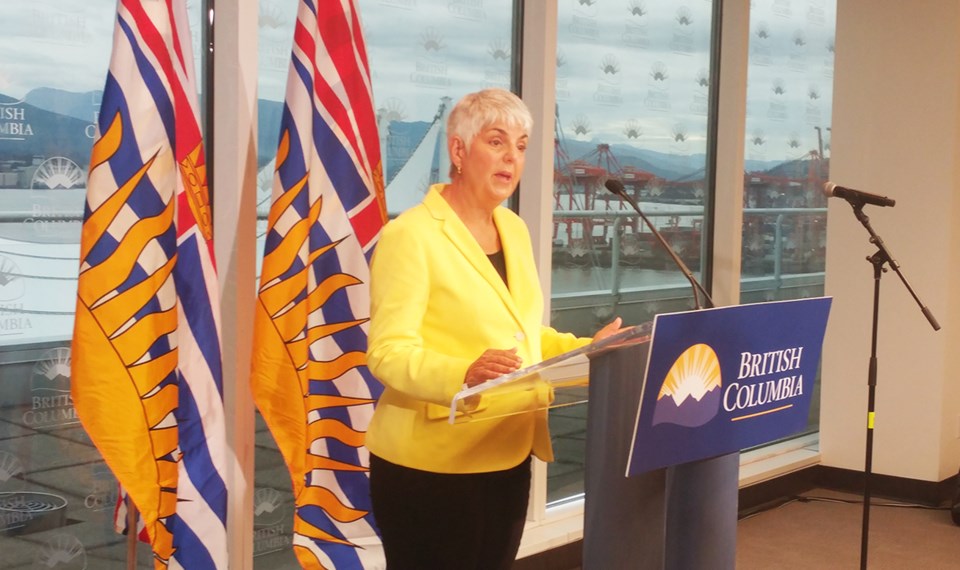 Carole James speculation tax 鶹ýӳSeptember 2019 Joannah Connolly