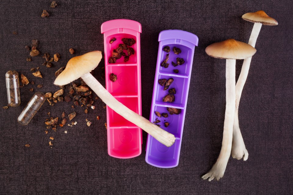 City council’s recent debate over a motion concerning magic mushrooms was trippy, to say the least.