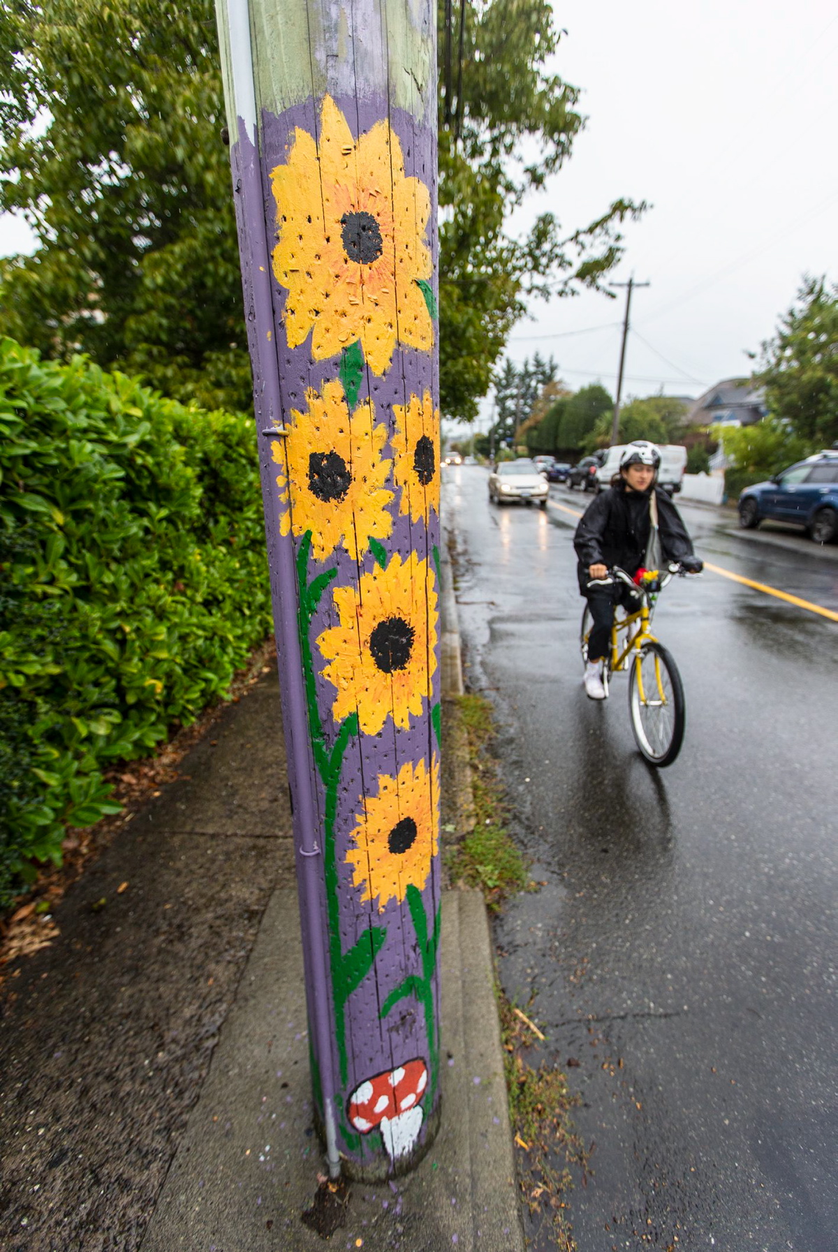 No more power-pole painting in Fernwood; safety issues cited - Victoria  Times Colonist